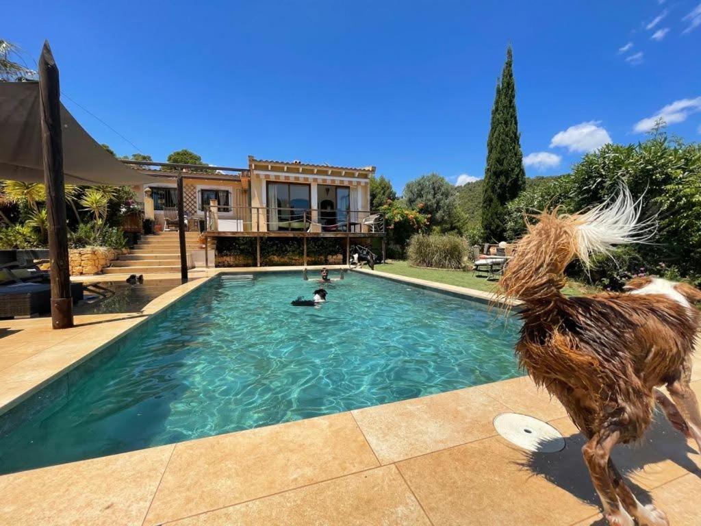 El Paraiso De Los Perros Polop Exterior foto
